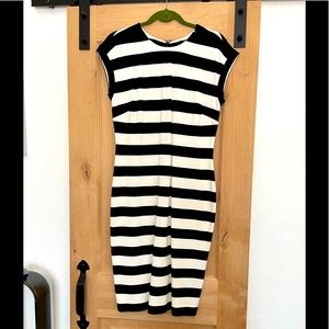 Banana Republic NWT Black/White Striped Dress